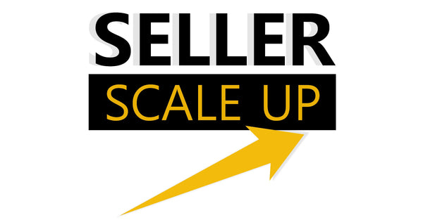 SELLER SCALE UP